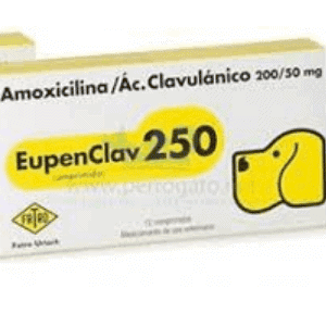 Amoxicilina para perros 1