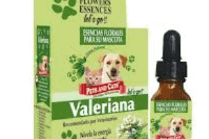 ➤ Valeriana para perros