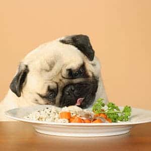 Dieta para el hipotiroidismo en los perros