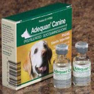 Medicamentos para la displasia de cadera en perros