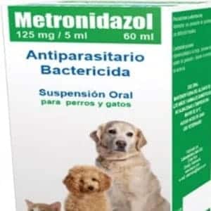 Antibióticos para el parvovirus en perros