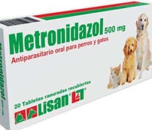 metronidazol como antibióticos para la pancreatitis en perros