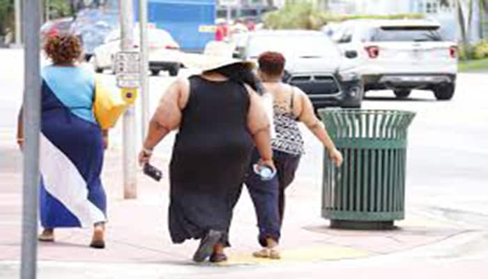 datos curiosos de la obesidad