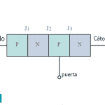 Estructura básica del tiristor / SCR