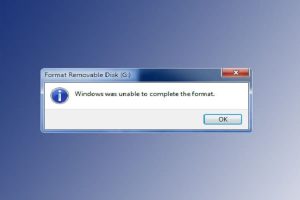Reparar Error «Windows No Pudo Completar El Formato»