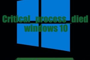 Cómo Corregir El Error Critical_Process_Died Windows 10