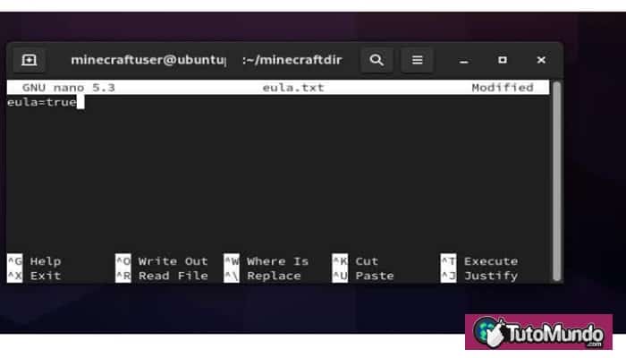 Ejecutar el servidor Minecraft en Linux