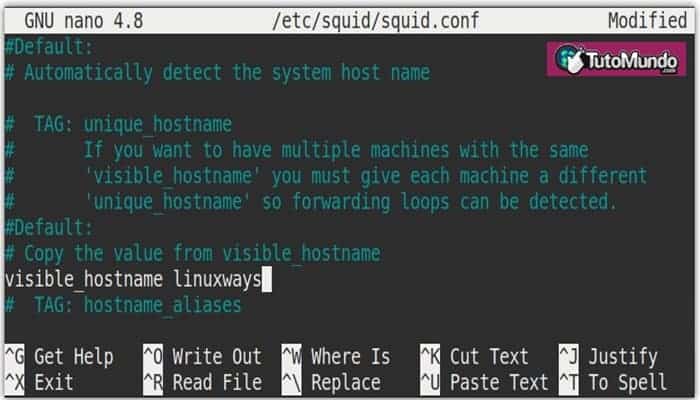 Configurar el nombre de host para el servidor proxy Squid