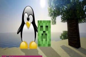 Cómo Hacer Un Servidor De Minecraft En Las Distribuciones De Linux