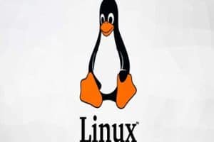 Instalar Y Configurar Servidor Samba En Ubuntu Para Compartir Archivos