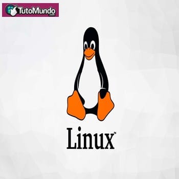Cómo Solucionar El Problema De No Poder Escribir En La Terminal En Un Sistema Linux