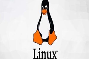 Ejemplos del comando Linux Head para principiantes