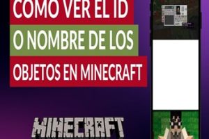 Cómo Ver El ID De Los Objetos O Bloques En Minecraft