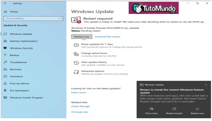 Instalar la Build Preview para Windows 10 o 11