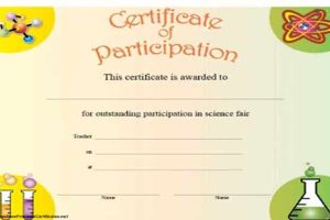 Certificado De Participación. Cómo Se Hace, Ejemplos