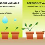 Variables independientes y variables dependientes