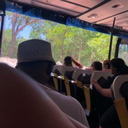 como viajar en autobus de cancun a chichen itza