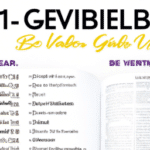 Leer la Biblia en un año: Guía práctica en 10 pasos.
