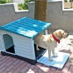 Crea una caseta de madera para tu perro en casa.