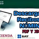 Opciones para pagar Telmex en Oxxo sin tener el recibo